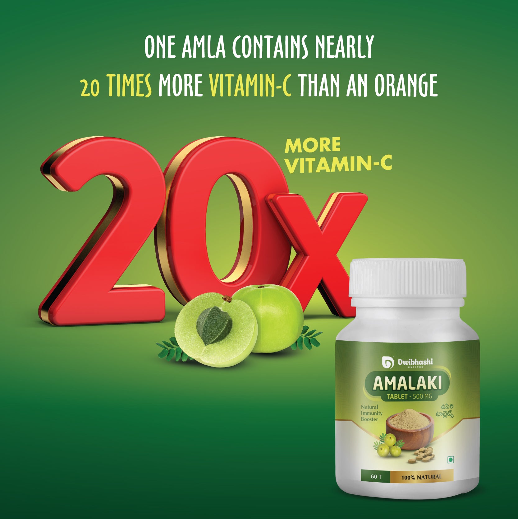 Amalaki Tablets | Natural Immunity Booster | 500mg