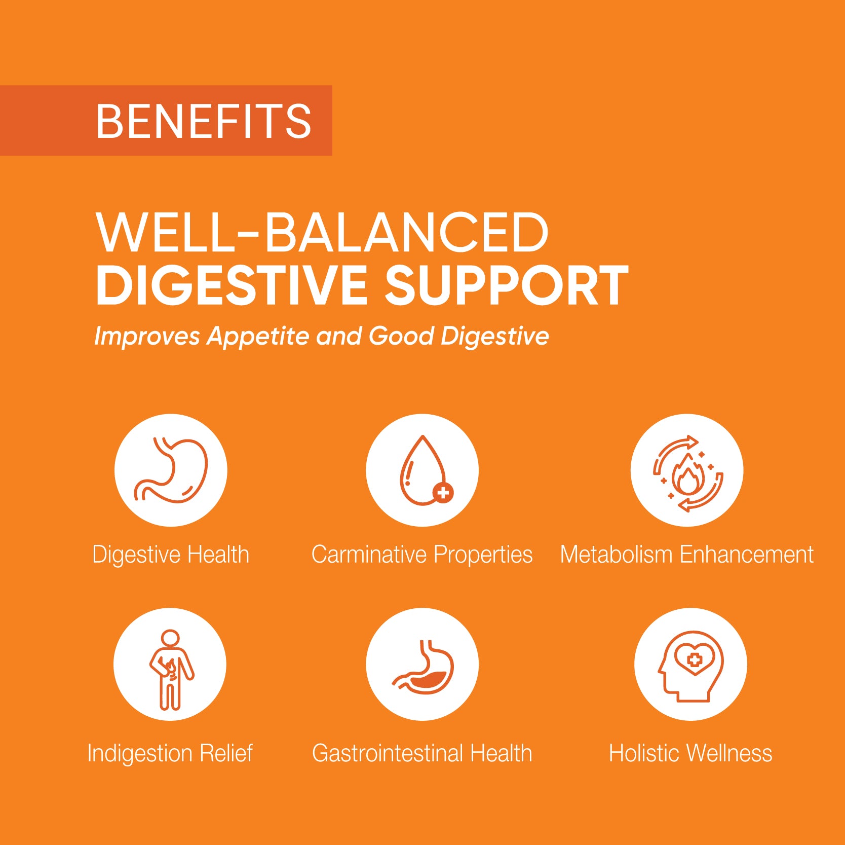 Bhaskara Lavana Churnam | Indigestion Relief | Supports Proper Metabolism 100g