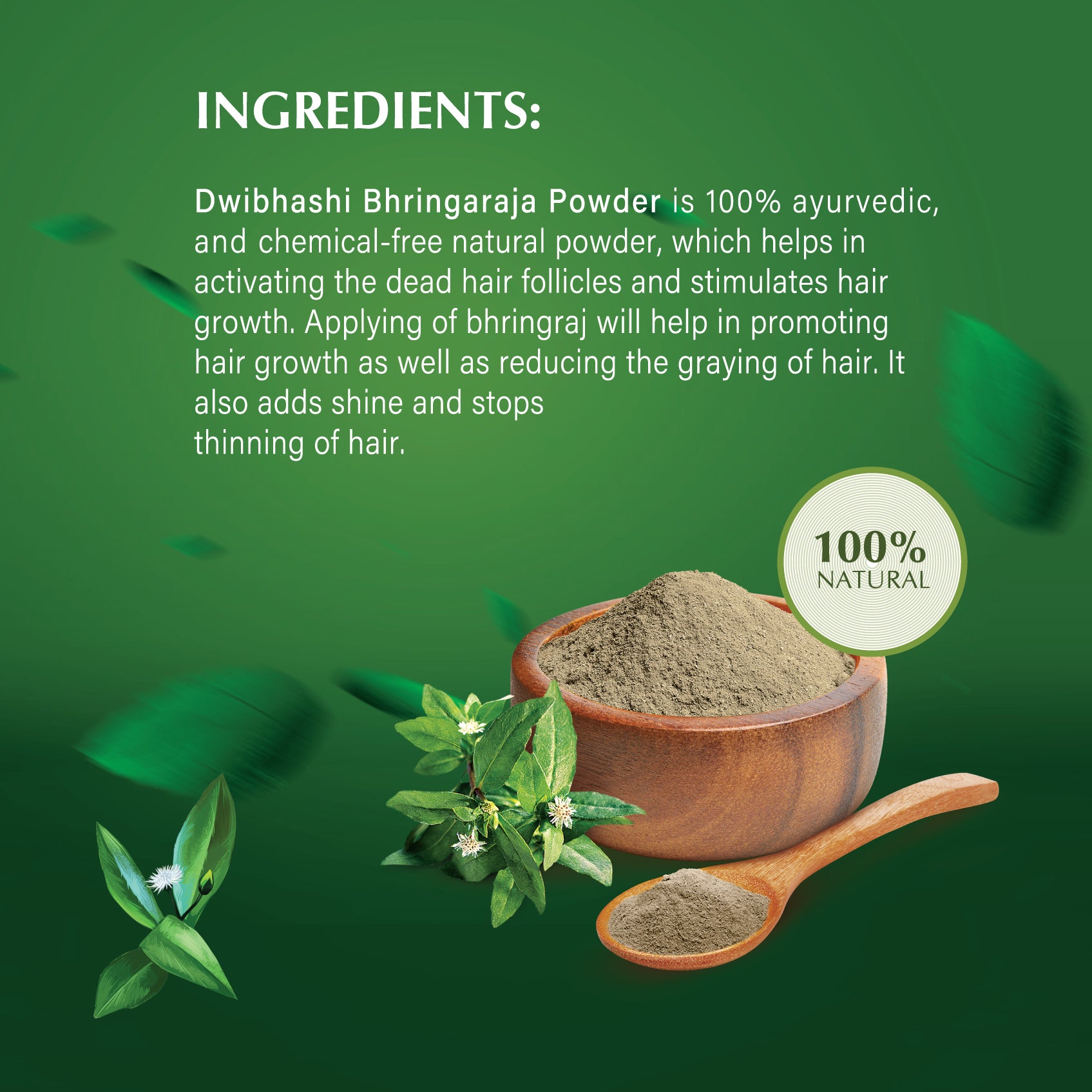 Bhringaraja Churnam | 100g