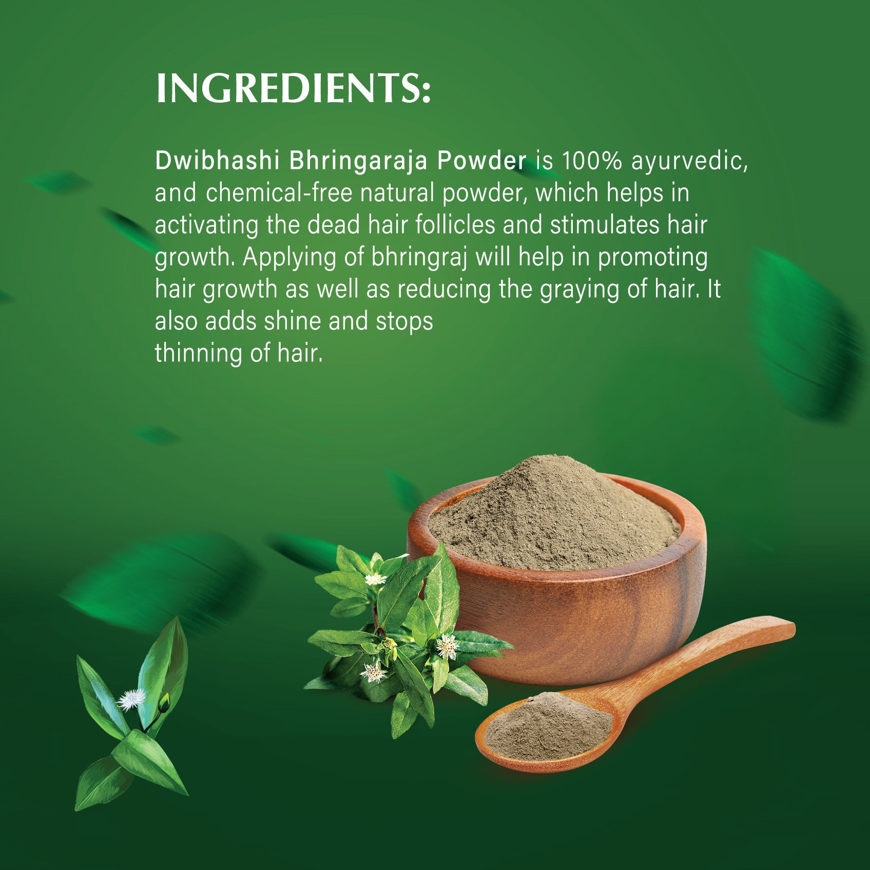 Bhringaraja Churnam | 100g