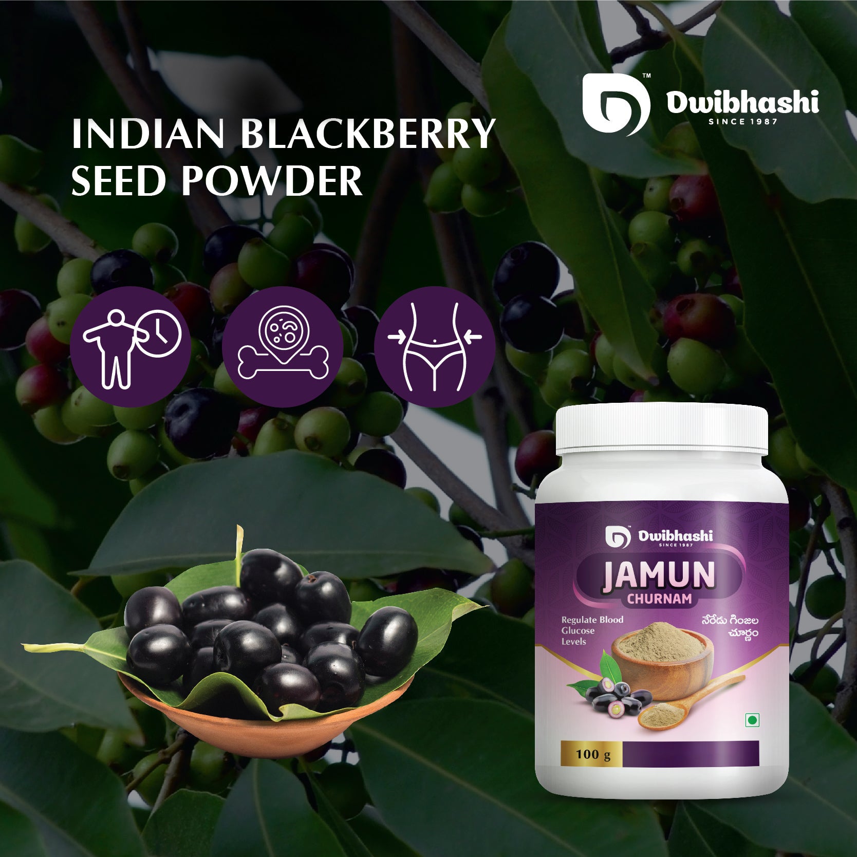Jamun Churnam | Healthy Digestion | Helps in Weight Loss | 100g