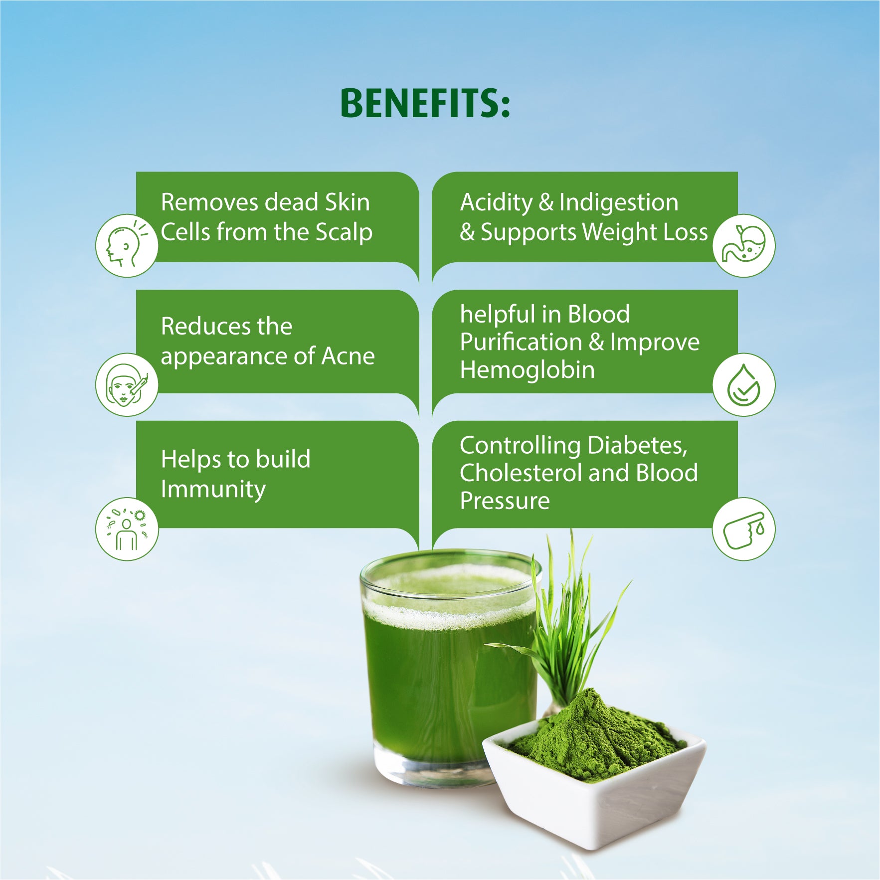 Wheat Grass Powder | Helpful in Blood Purification | Relieve Acidity | 50g | 100g