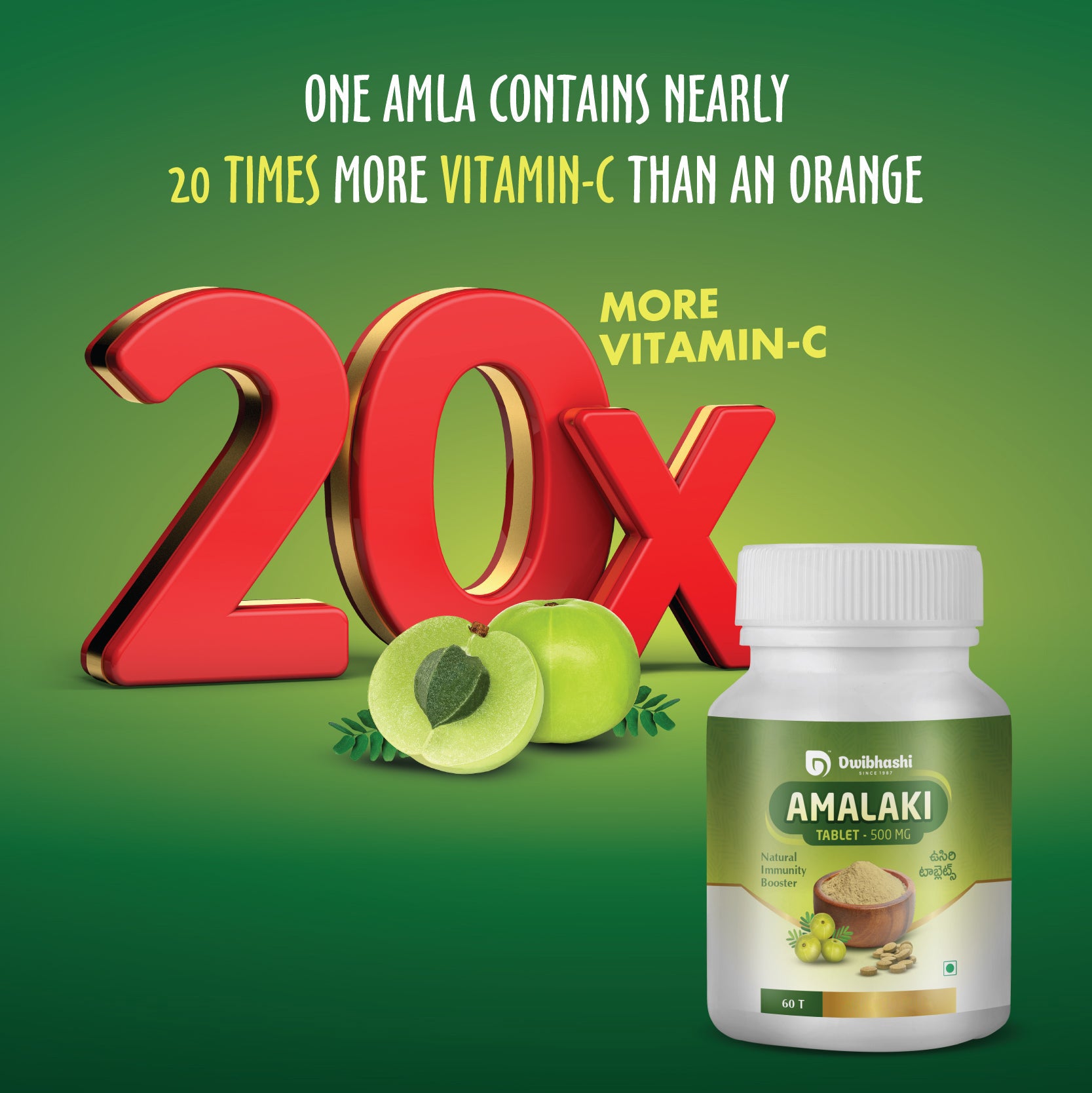 Amalaki Tablets | Natural Immunity Booster | 500mg
