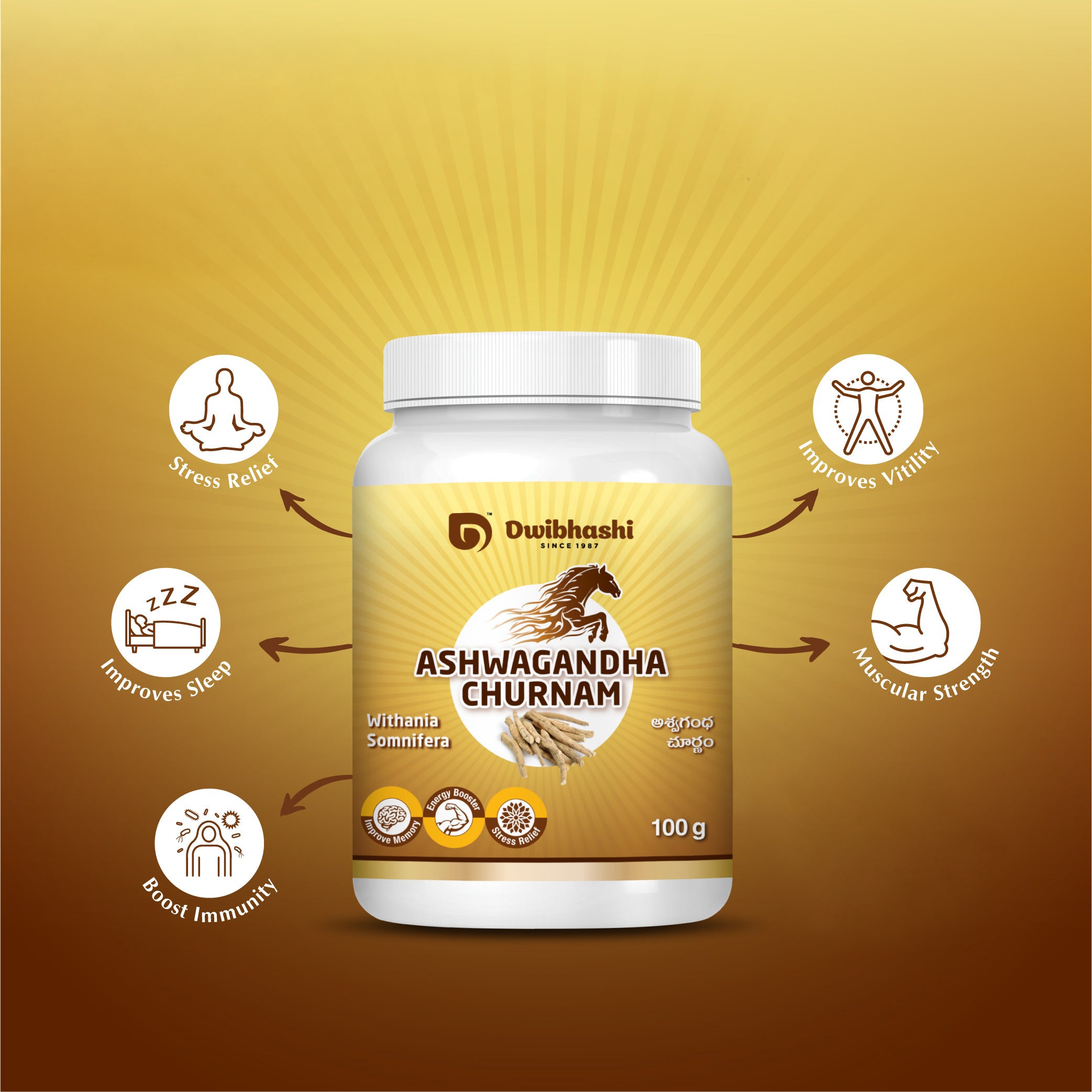 Ashwagandha Churnam |Support Good Health, Immunity Booster | 200g (Pack of 2)