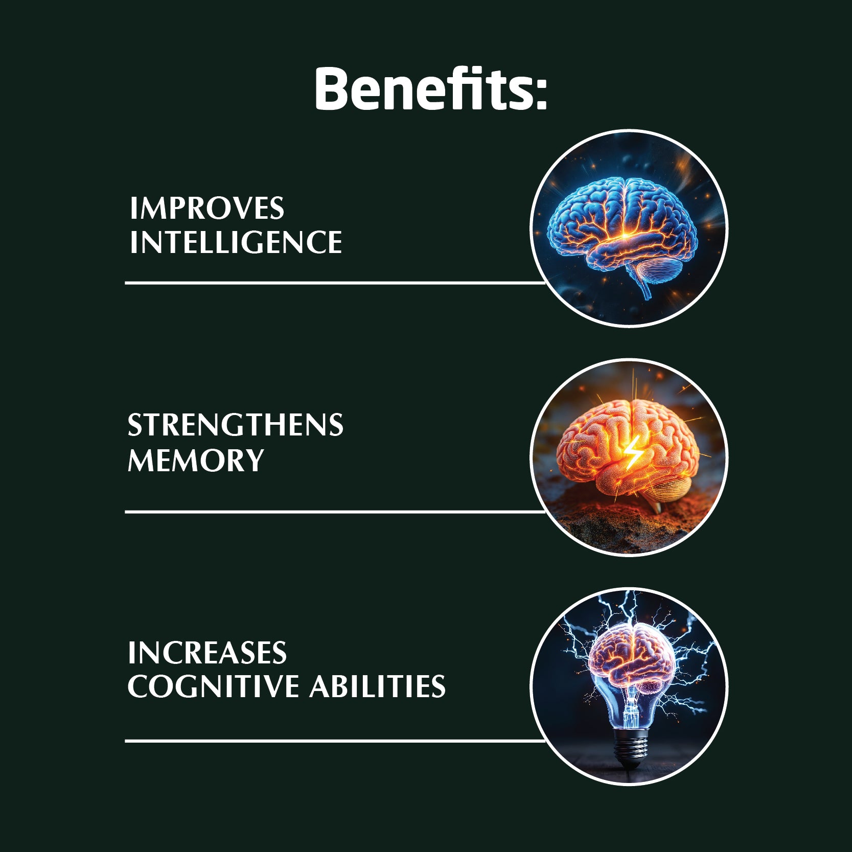 Brahmi Tablet | Helps To Handle Life’s Daily Stress | 500mg