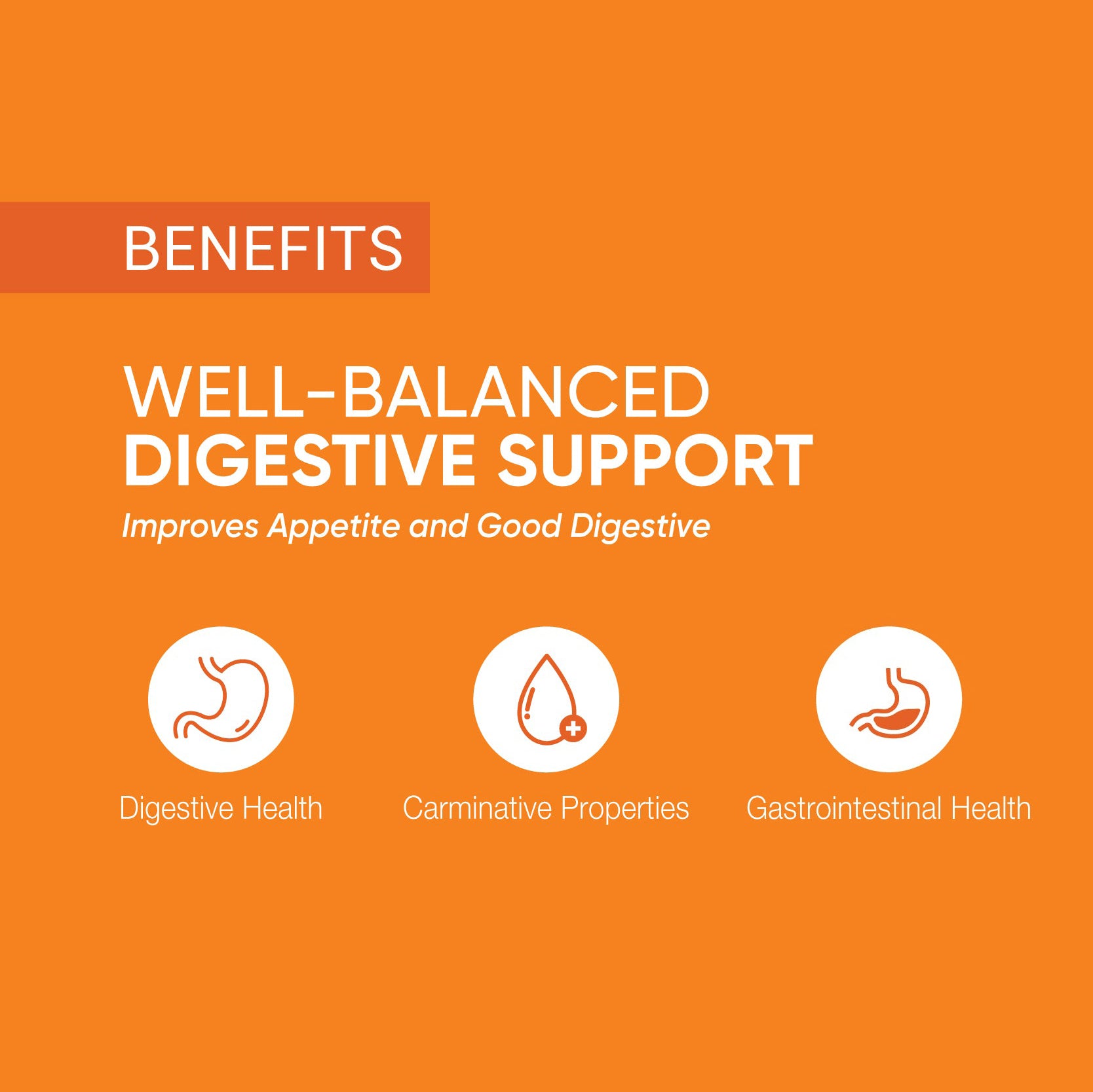 Bhaskara Lavana Churnam | Indigestion Relief | Supports Proper Metabolism 100g