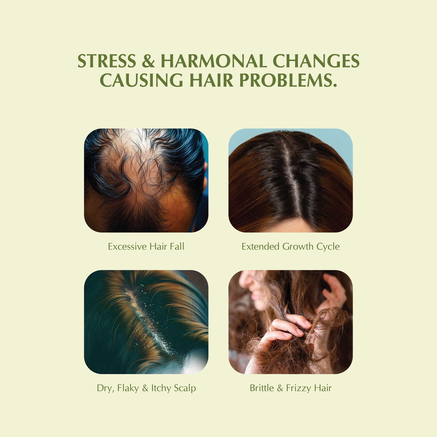 Bringraj Tailam | Hair Oil For Deep Conditioning - Controls Hair Fall |100ml | 200ml