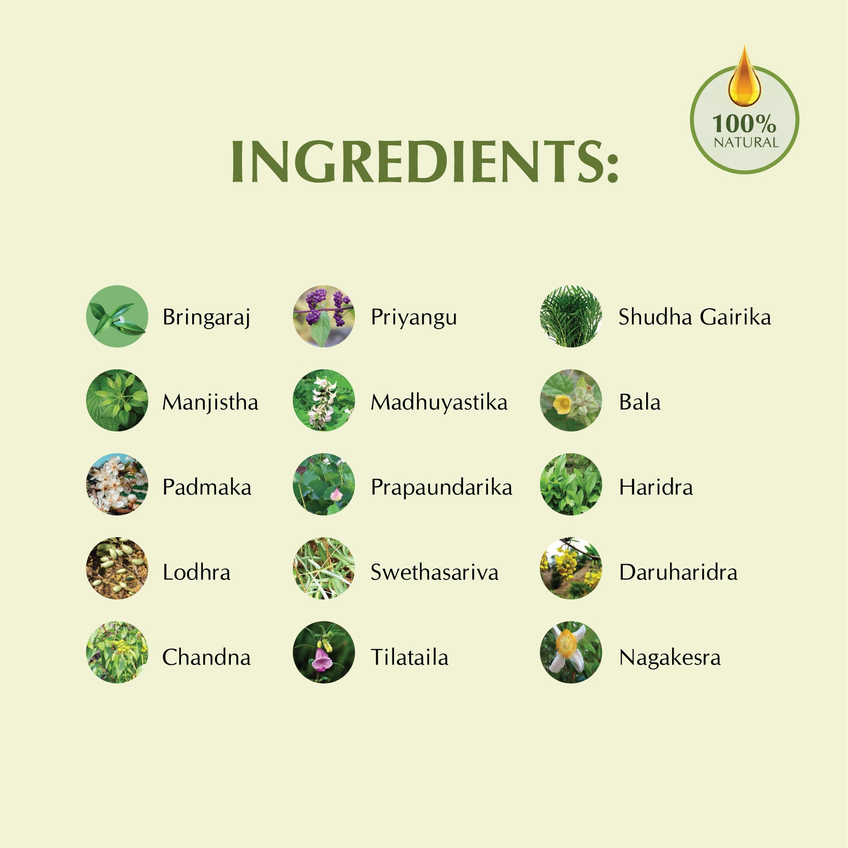 Bringraj Tailam | Hair Oil For Deep Conditioning - Controls Hair Fall |100ml | 200ml