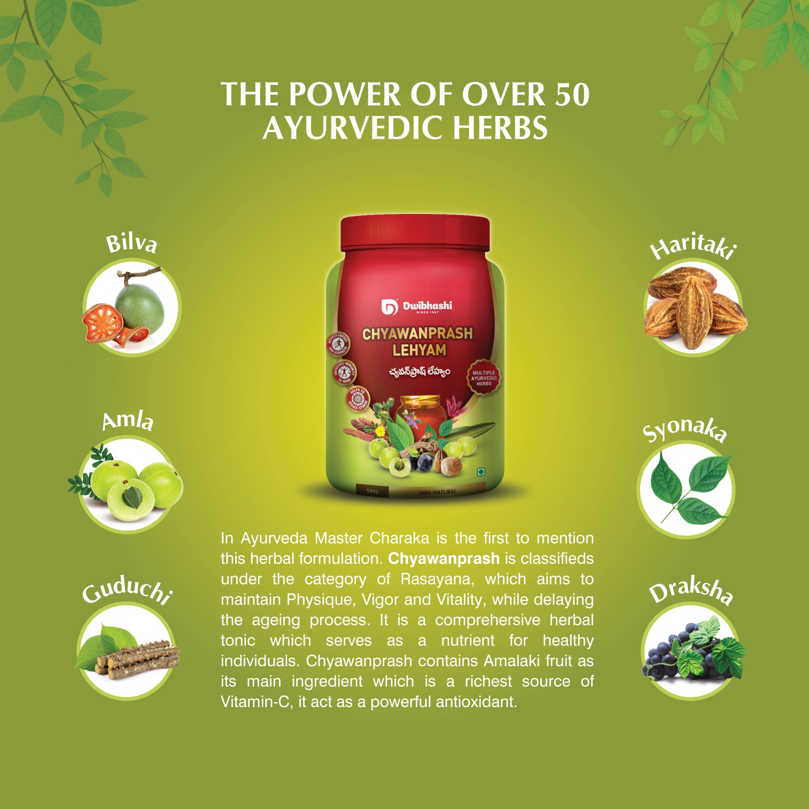 Chyawanprash Lehyam | Builds Strength & Boost Immunity | 250g | 500g