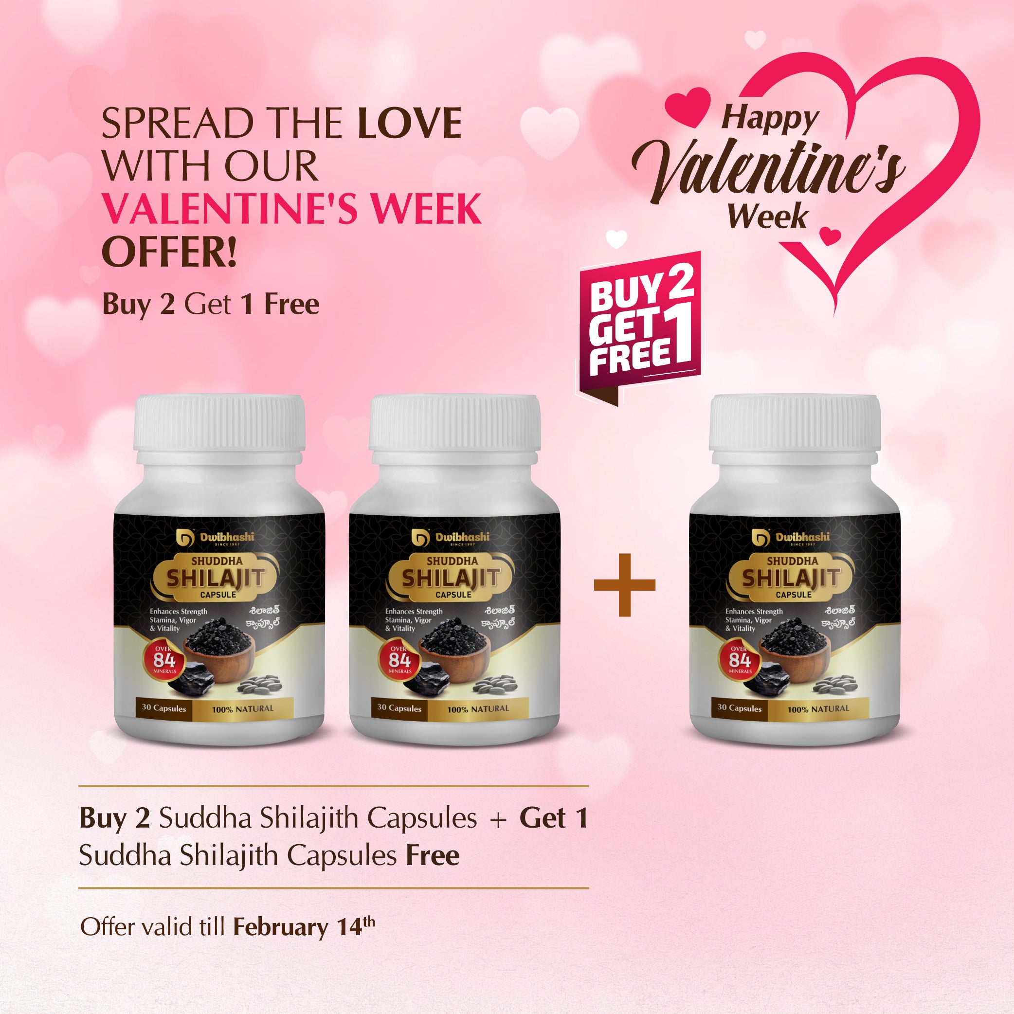Buy 2 Suddha Shilajith Capsules + Get One Suddha Shilajith Capsules Free