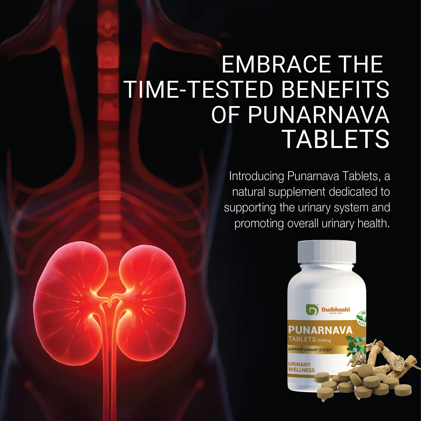 Punarnava Tablets | Reduce Inflammation | Support Kidney Health | 60 tabs