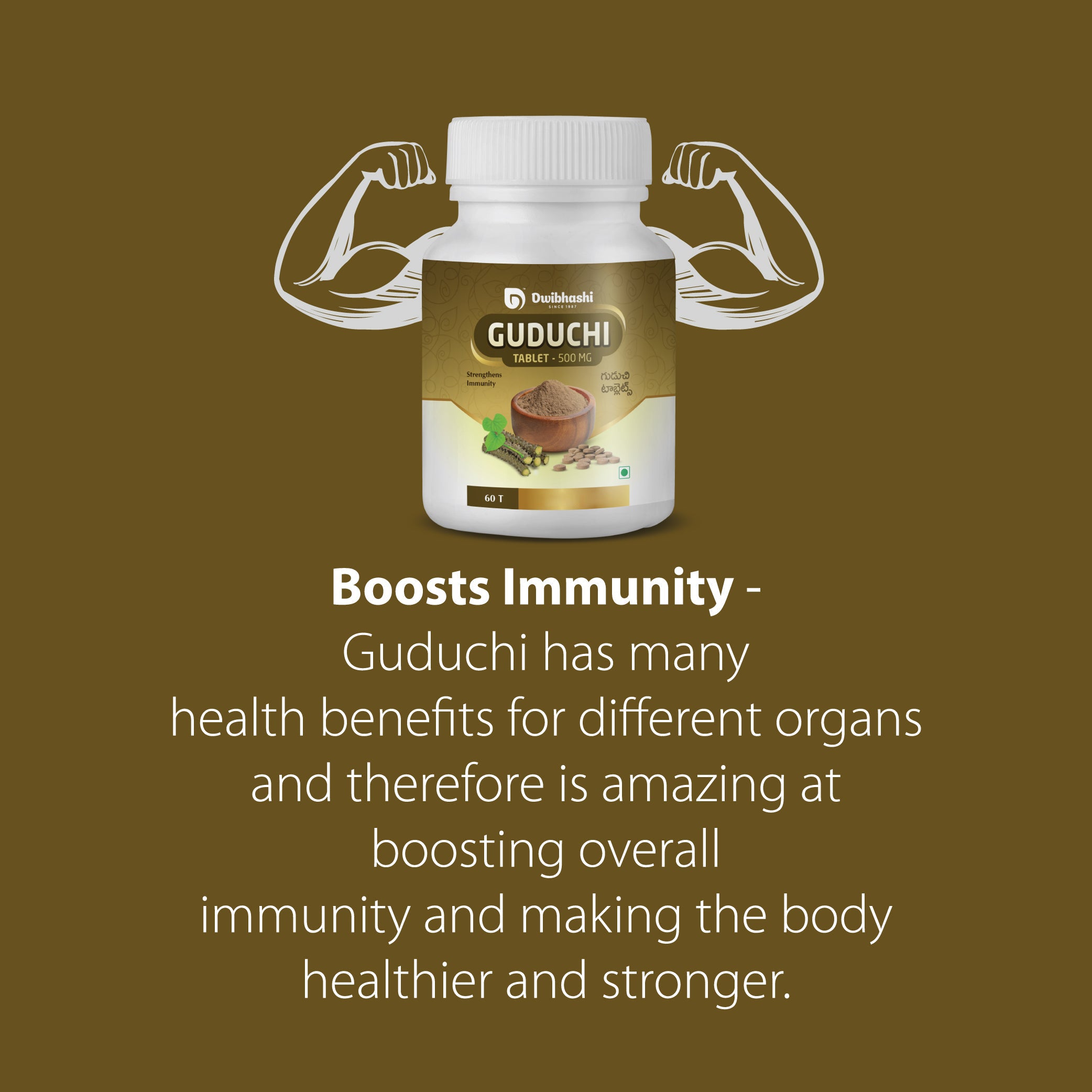 Guduchi Tablets | Builds Immunity and Improves Digestion| 120 tabs (Pack of 2)