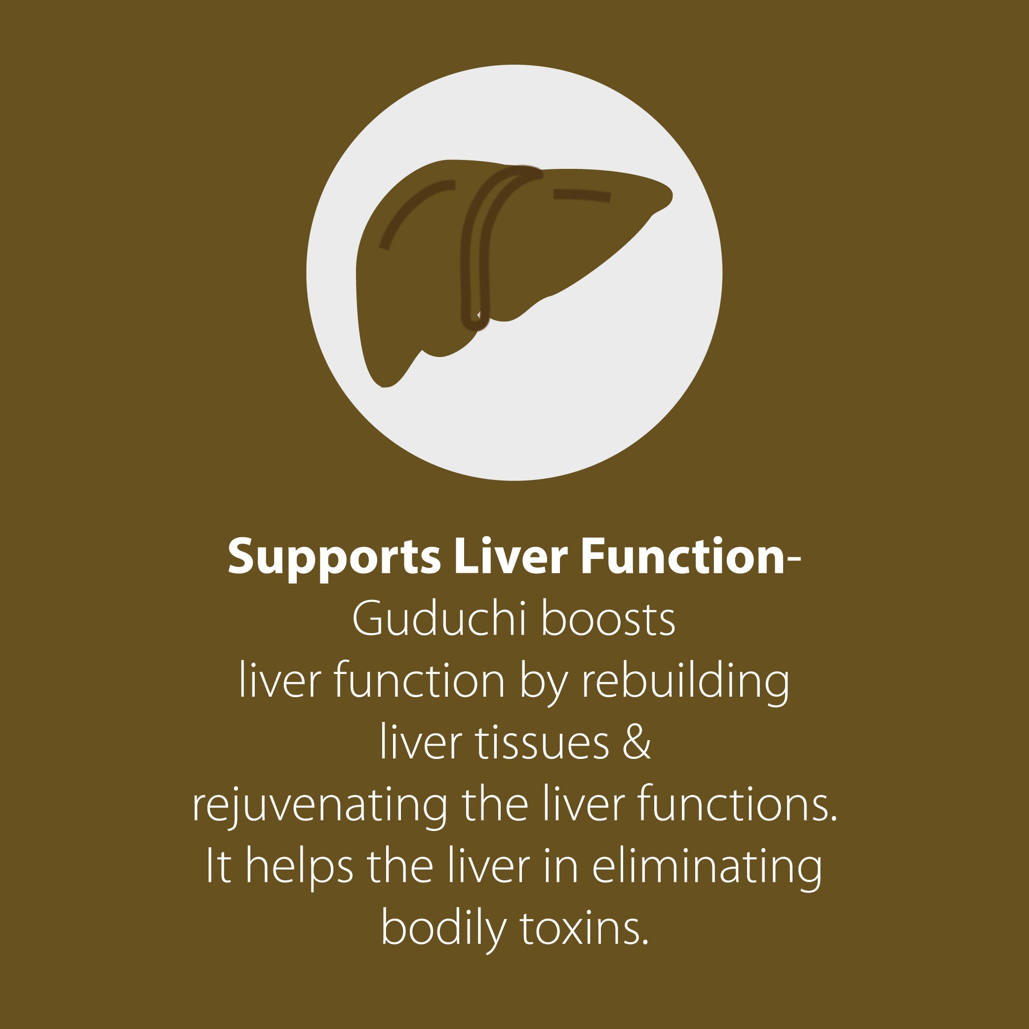 Guduchi Tablets | Builds Immunity and Improves Digestion | 500mg
