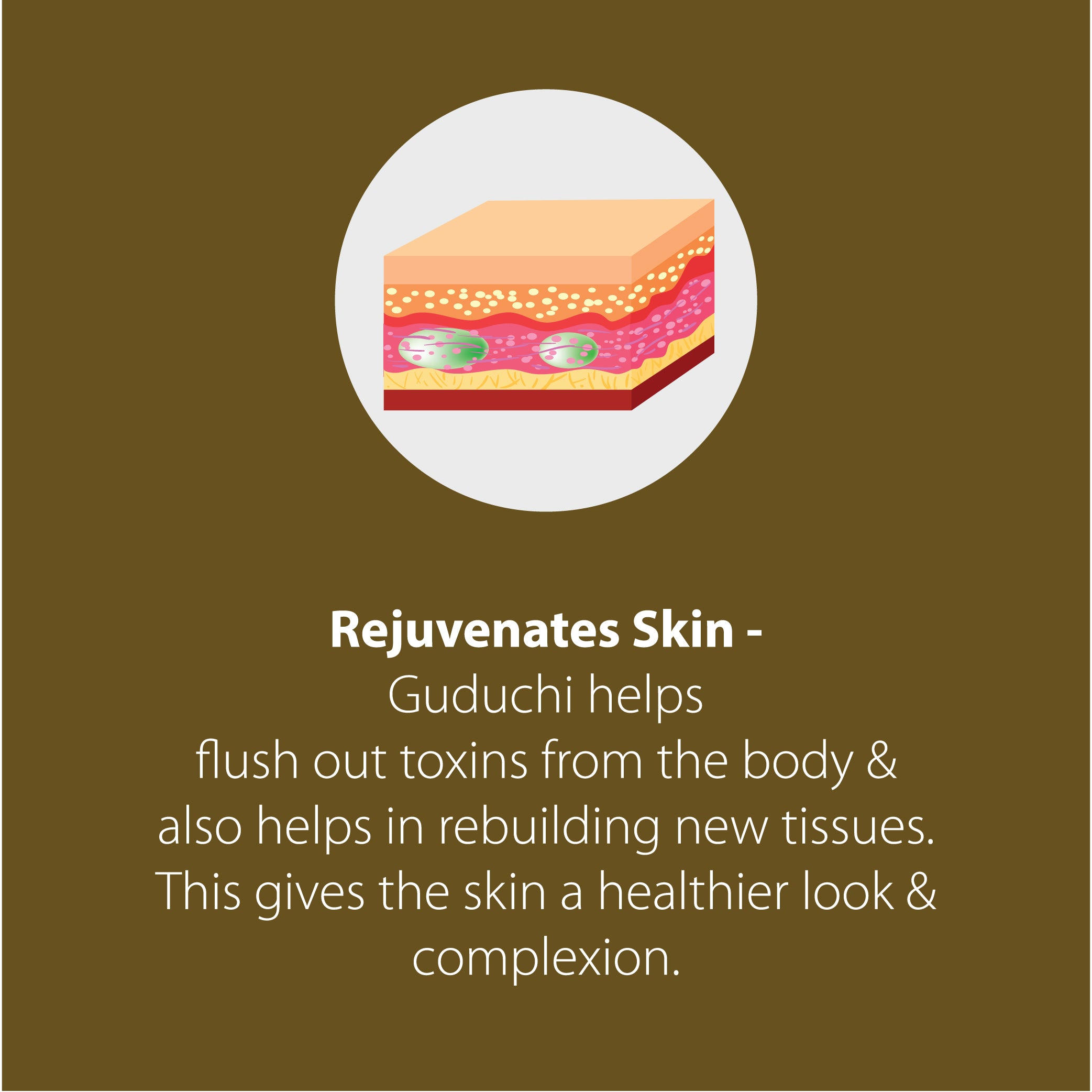 Guduchi Tablets | Builds Immunity and Improves Digestion | 500mg