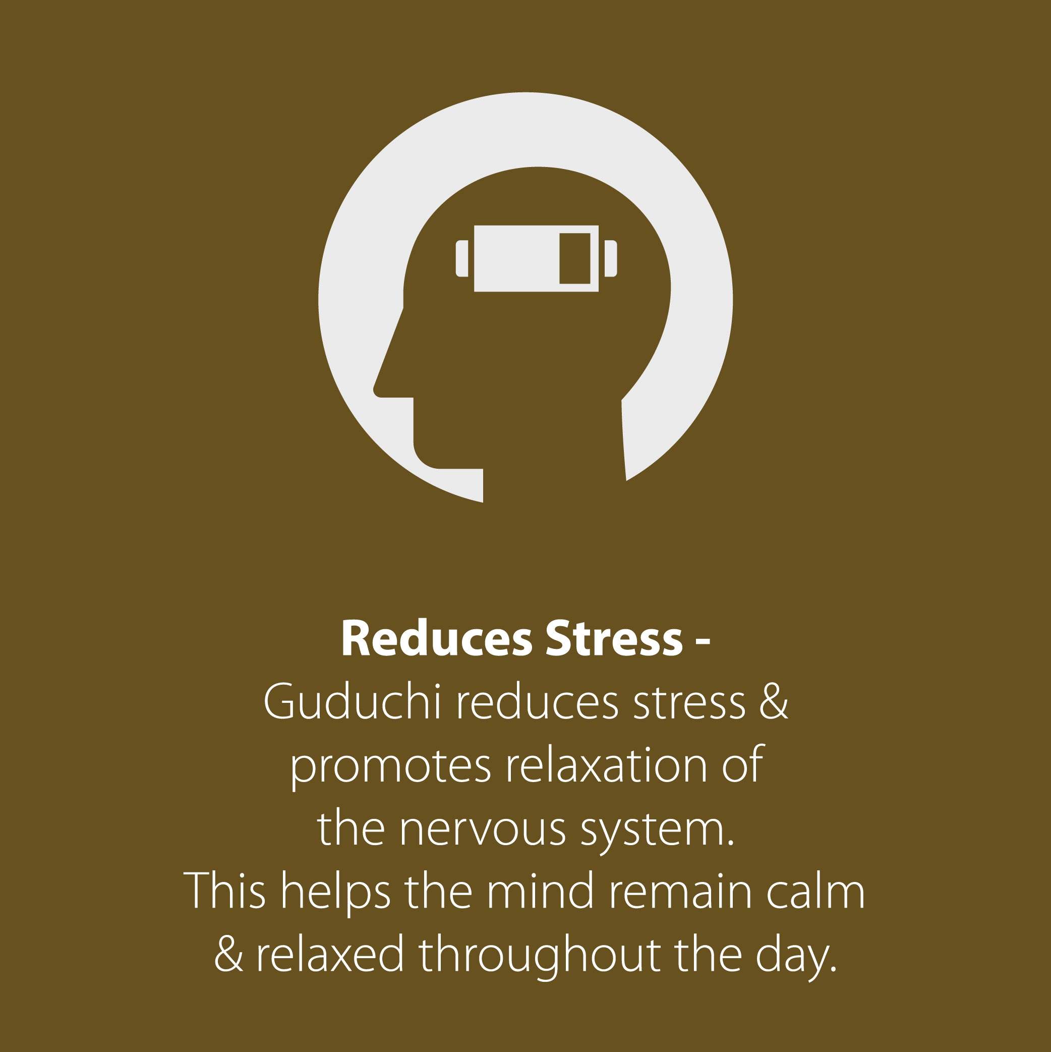 Guduchi Tablets | Builds Immunity and Improves Digestion | 500mg