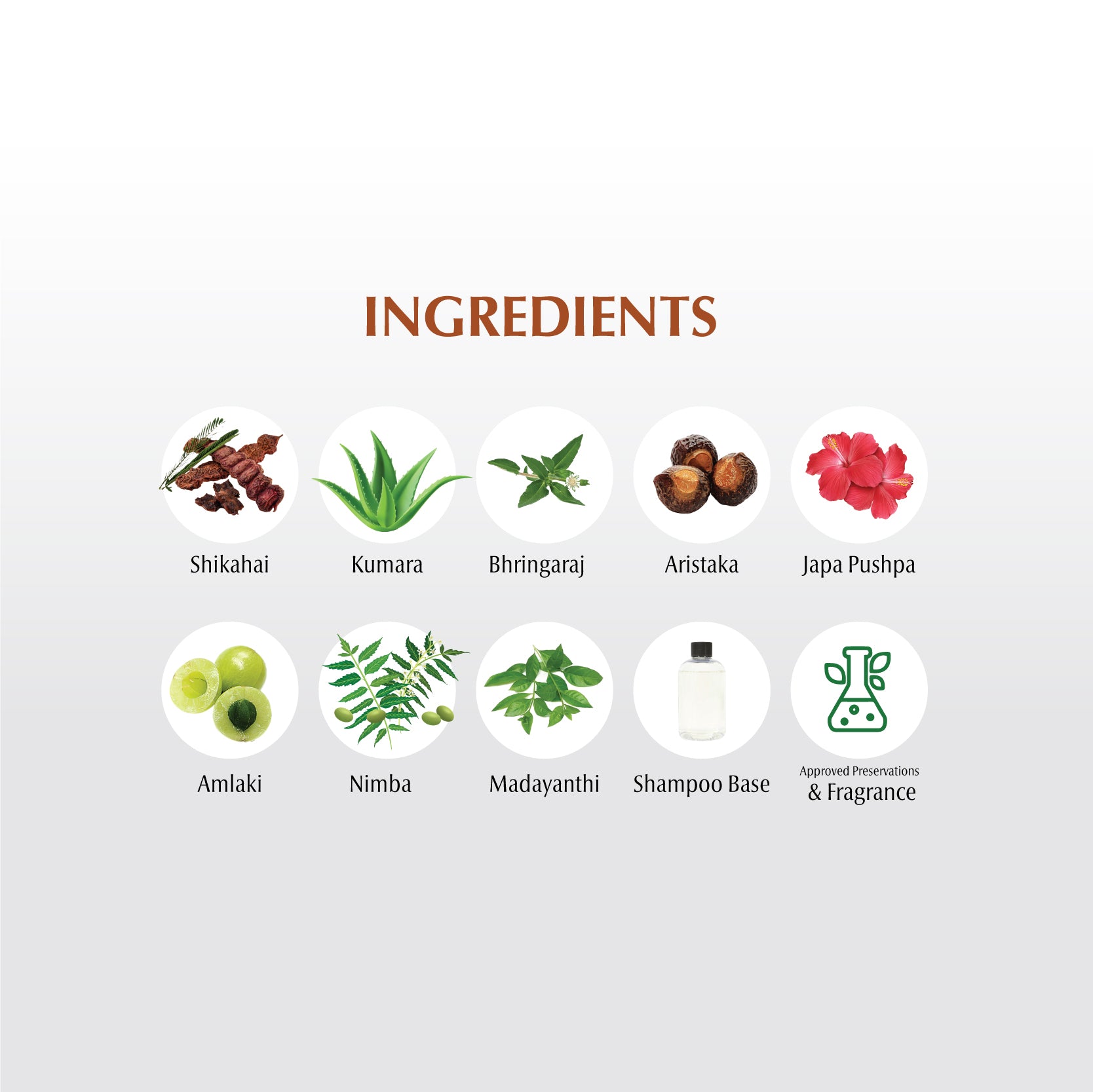 Dwibhashi's Smara Herbal Shampoo | Anti Dandruff | 100ml | 200ml