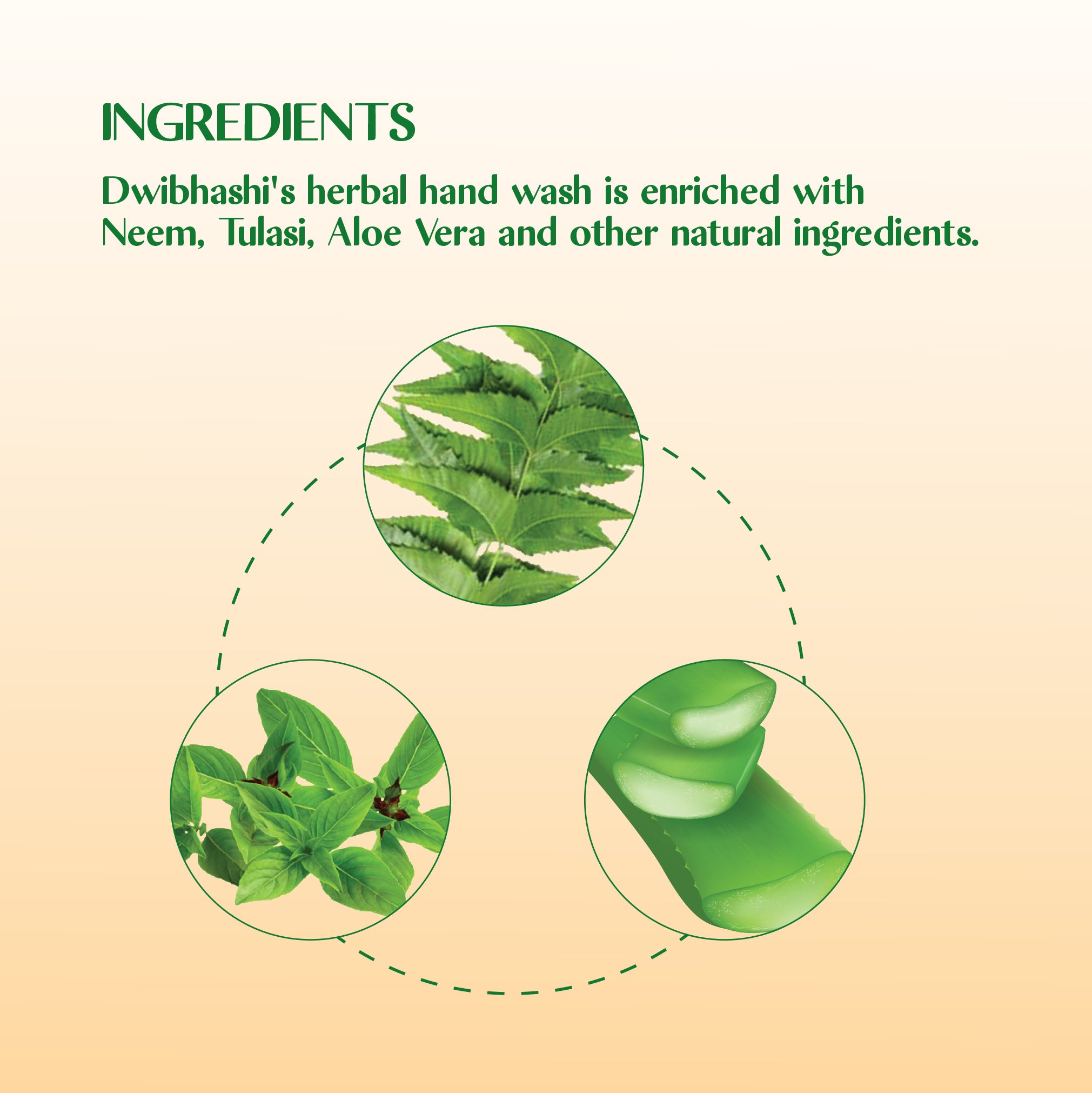 Herbal Hand Wash | Removes Germs From Hand | 225ml