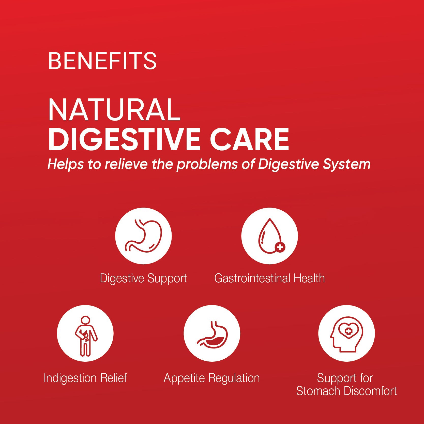 Hingvastaka Churnam | Digestive Support | Regulate Appetite | 100g