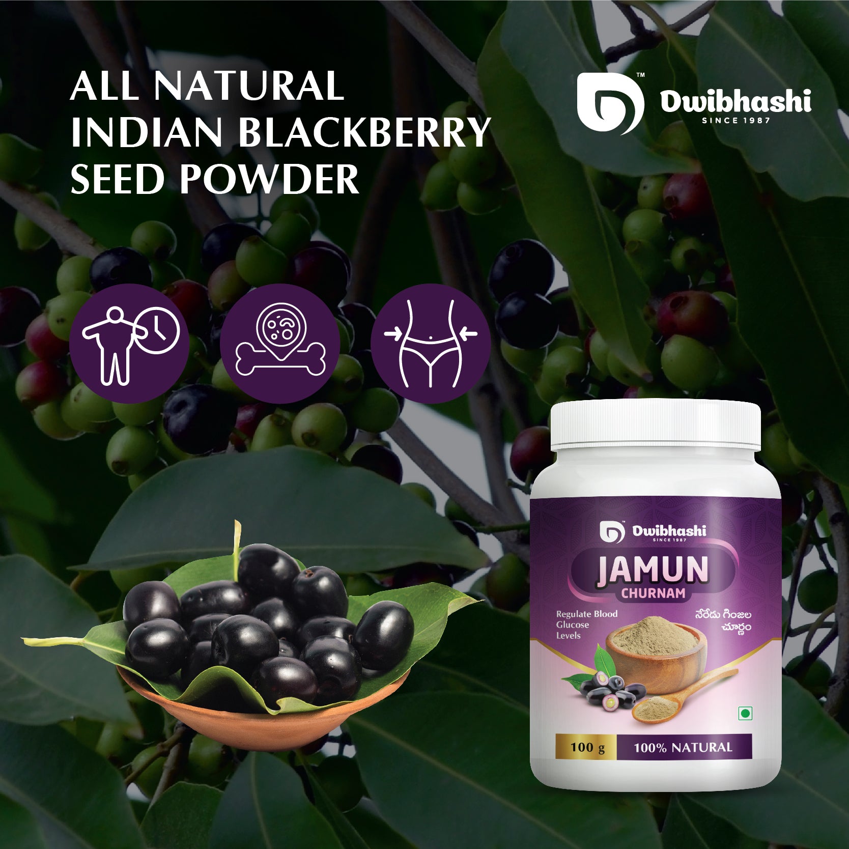 Jamun Churnam | Healthy Digestion | Helps in Weight Loss | 100g