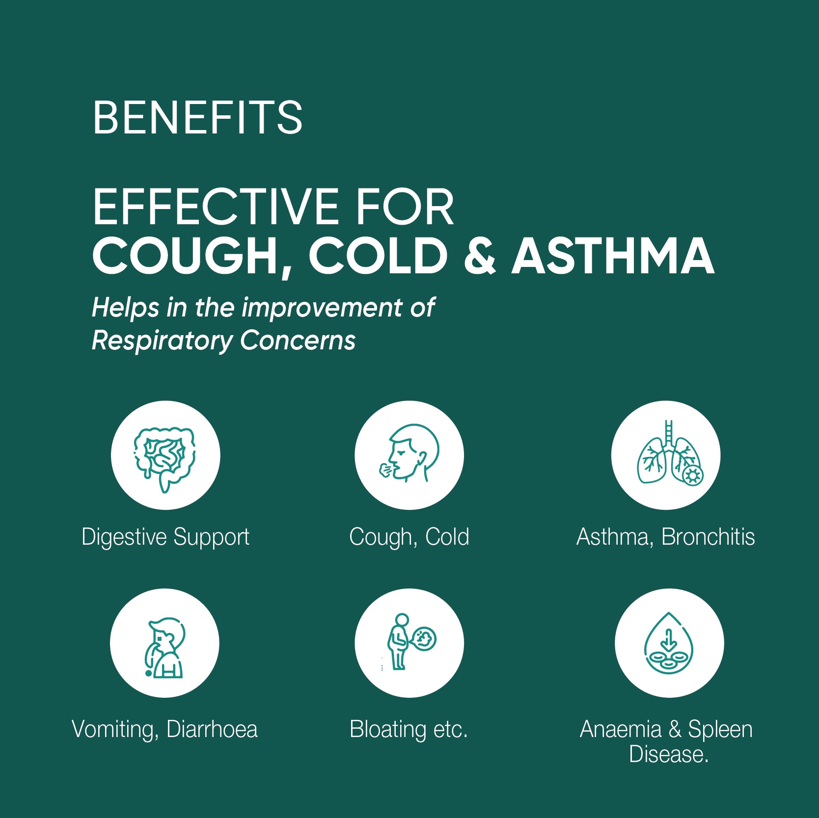 Talisadi Churnam |  Reduces inflammation | 100g