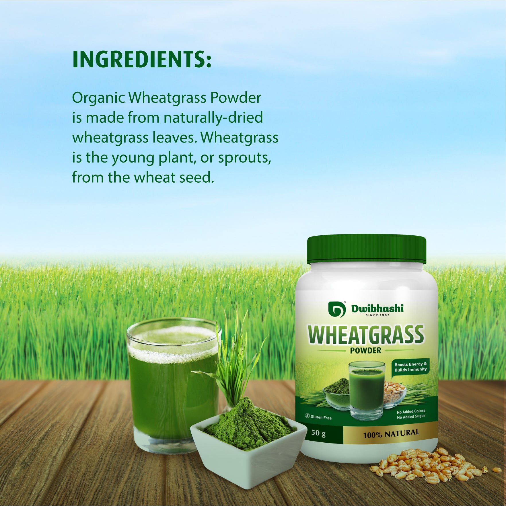 Wheat Grass Powder | Helpful in Blood Purification | Relieve Acidity | 100g (Pack of 2)