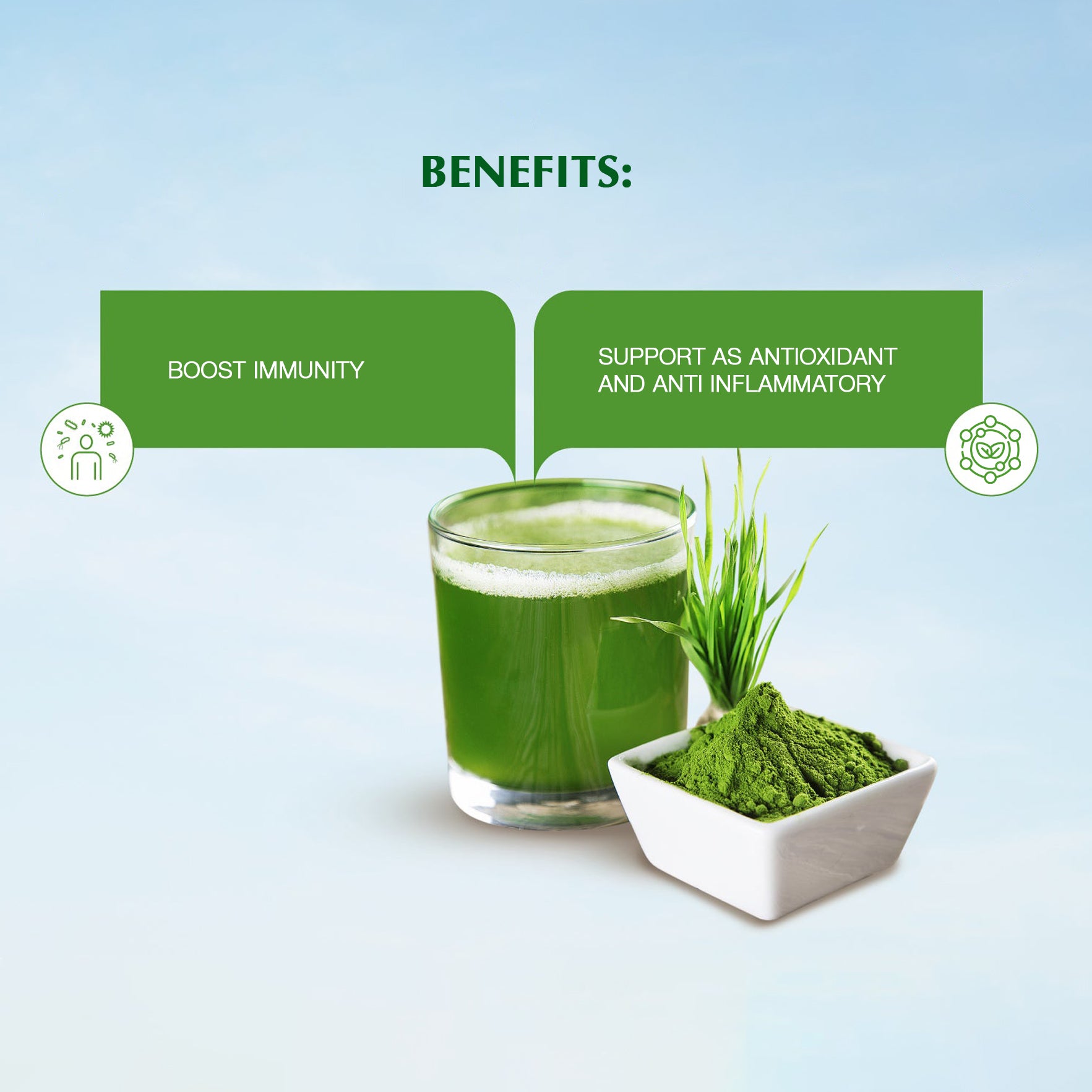 Wheat Grass Powder | Helpful in Blood Purification | Relieve Acidity | 50g | 100g